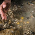 blog_batangemi9tonaltin_k2.jpg blog_batangemi9tonaltin_k2.jpg